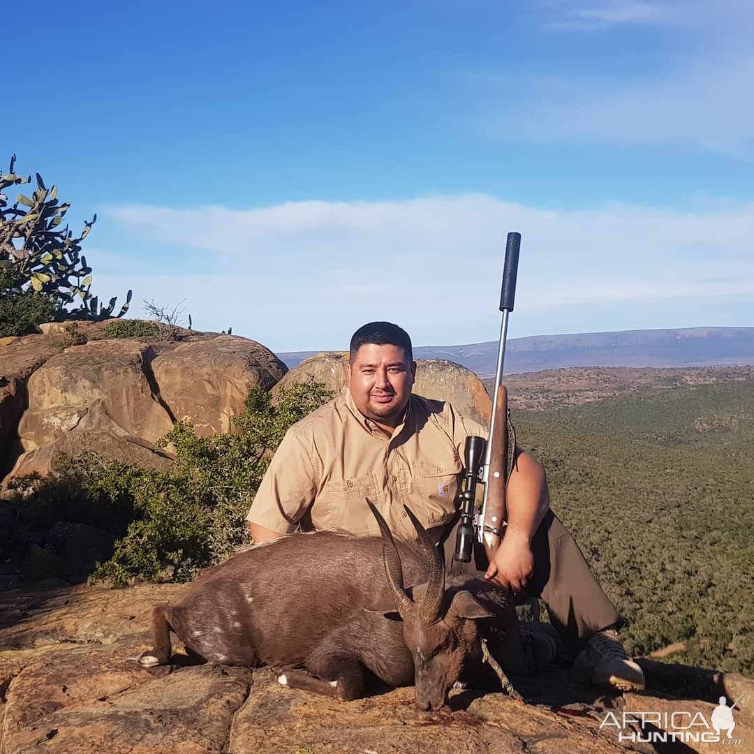 Hunting Bushbuck in South Africa