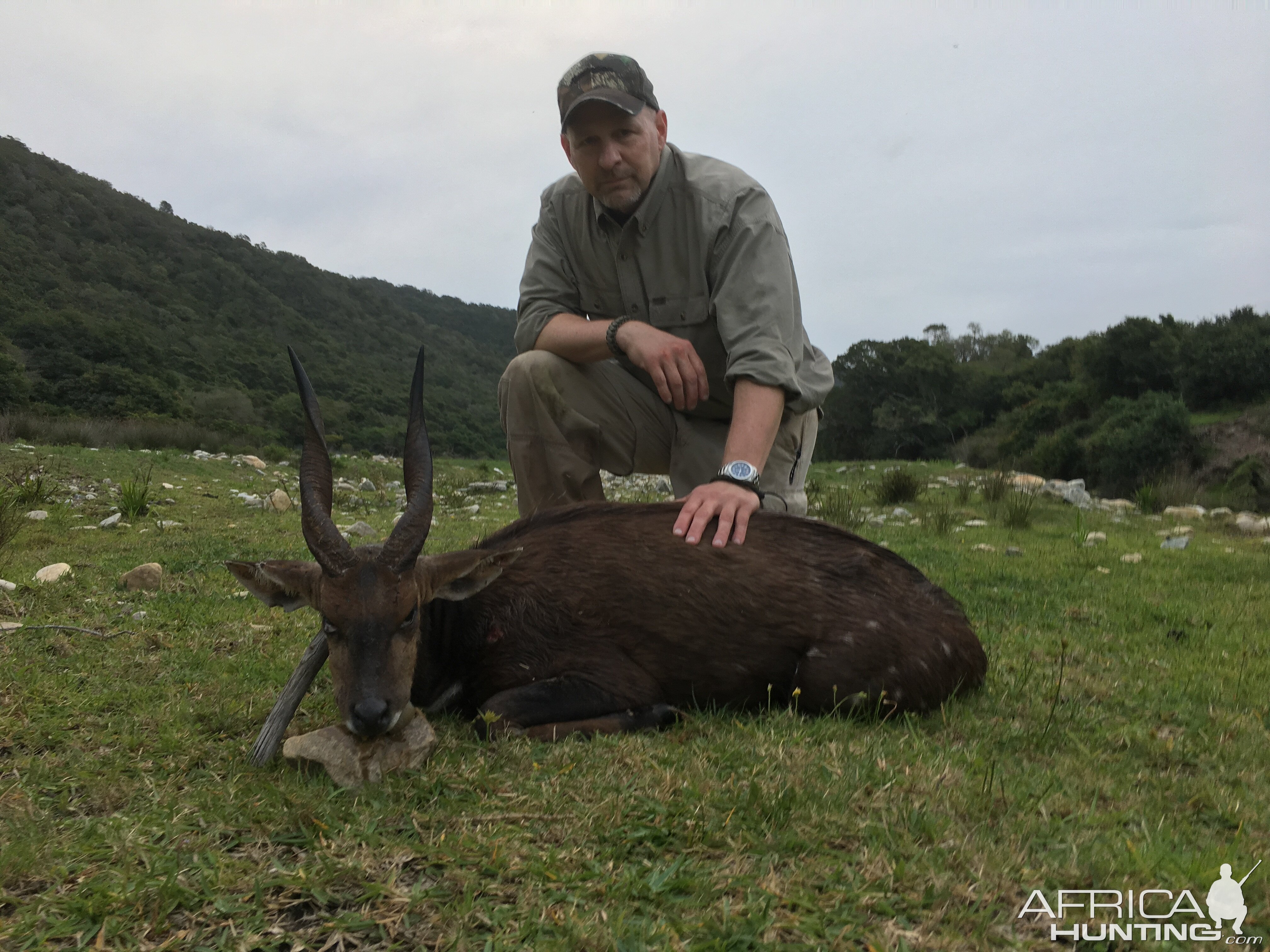 Hunting Bushbuck in South Africa