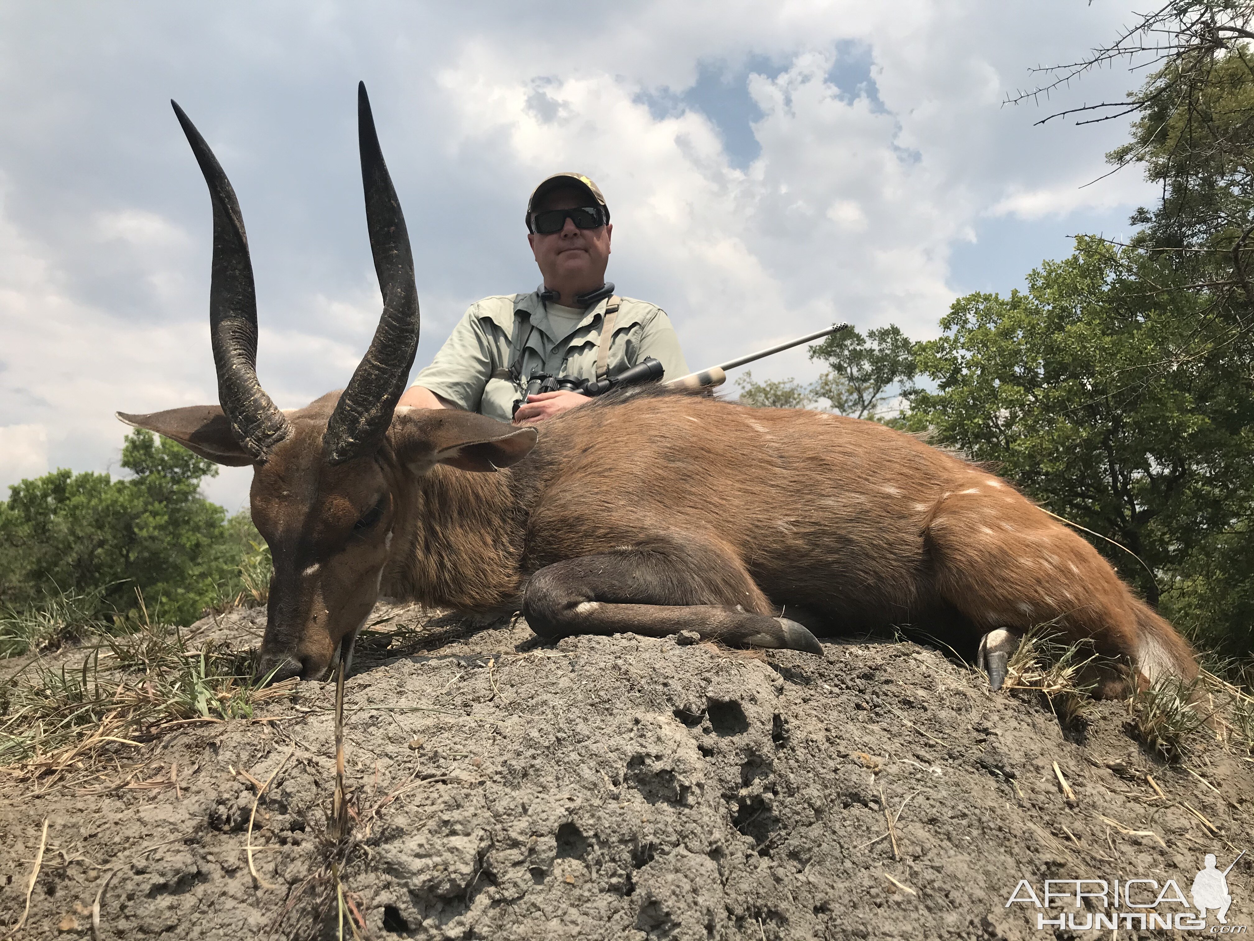 Hunting Bushbuck in Zambia