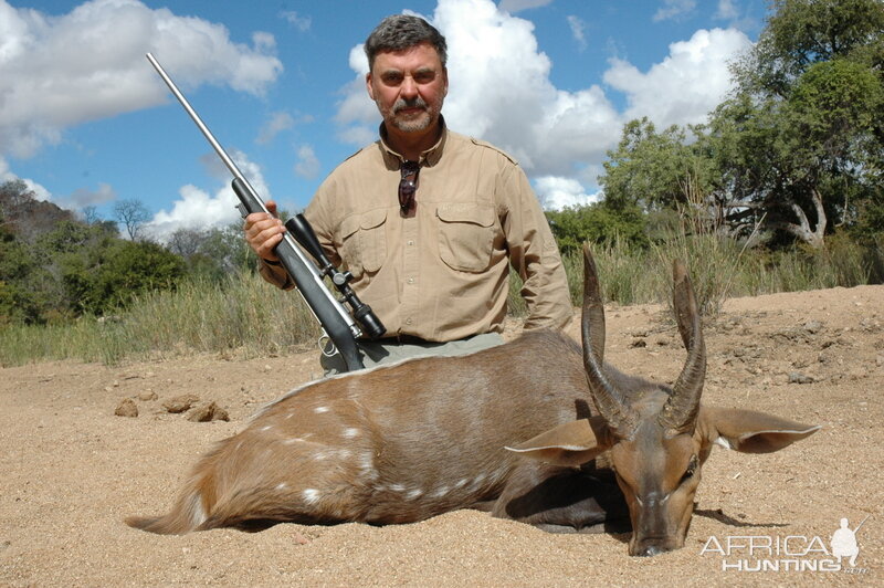 Hunting Bushbuck in Zimbabwe