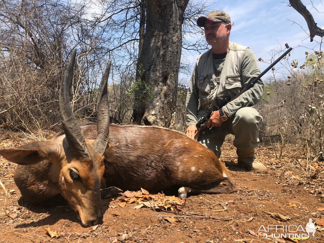 Hunting Bushbuck in Zimbabwe