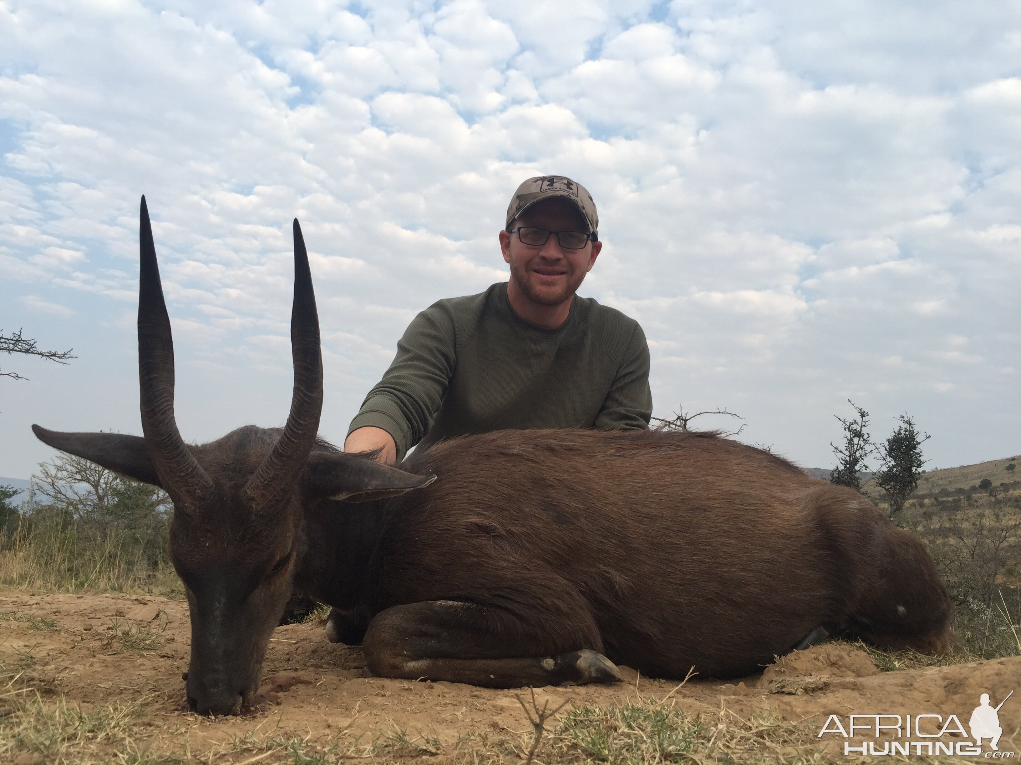 Hunting Bushbuck South Africa