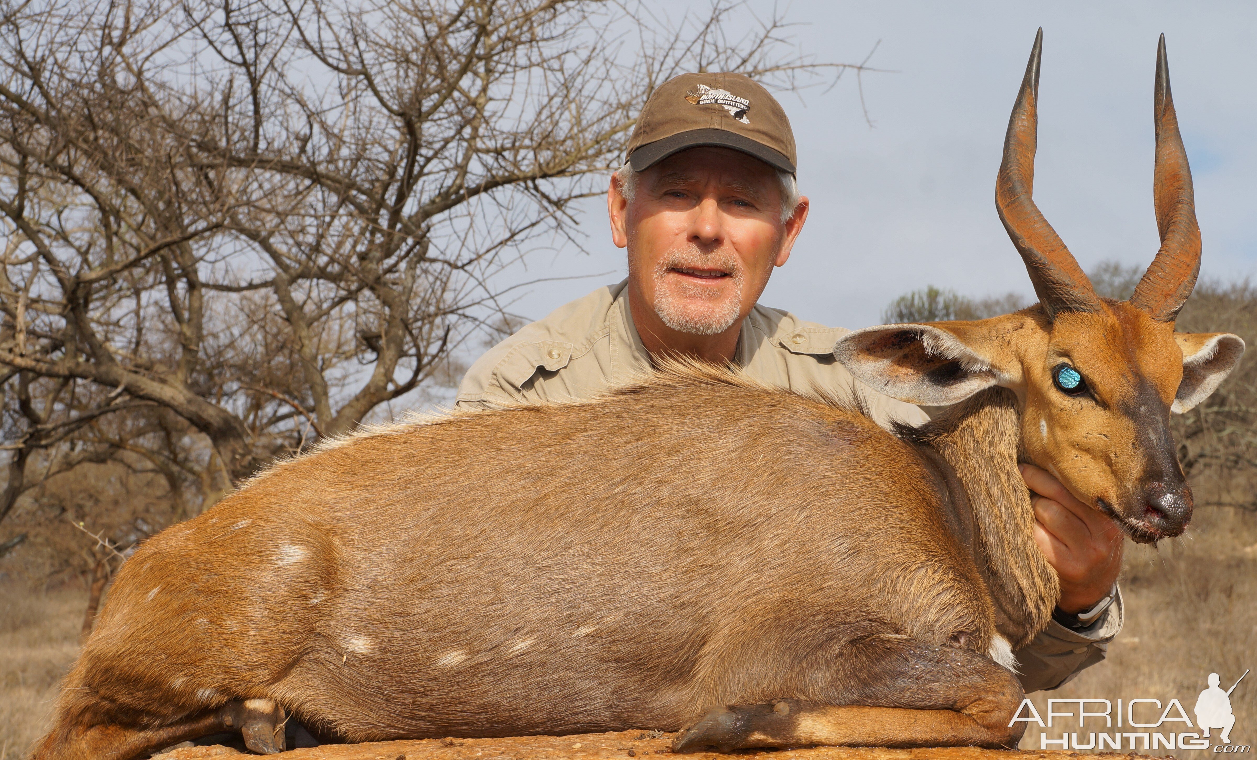 Hunting Bushbuck Tanzania