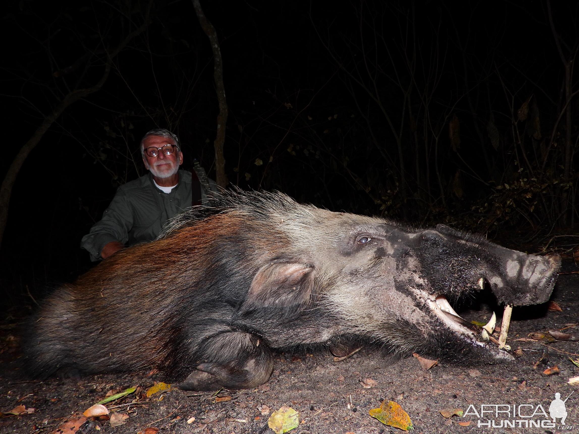 Hunting Bushpig in Mozambique