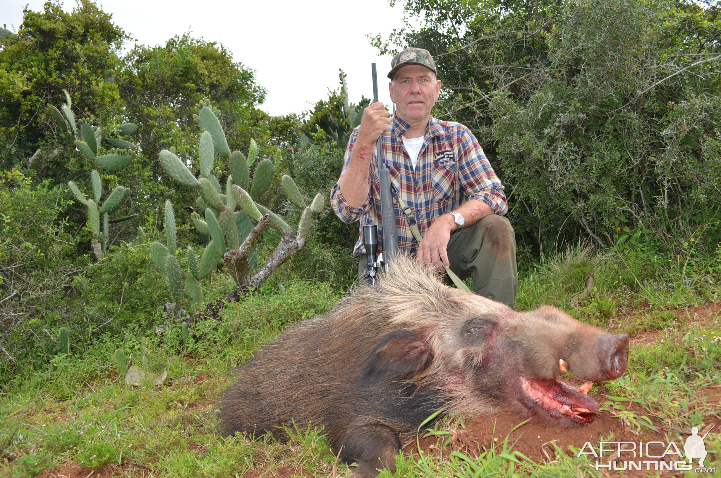 Hunting Bushpig in South Africa