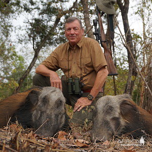 Hunting Bushpig in South Africa