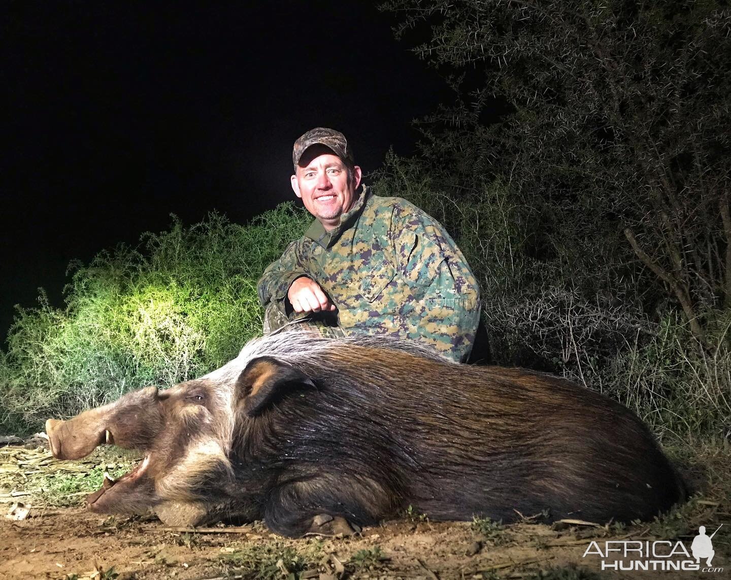 Hunting Bushpig in South Africa