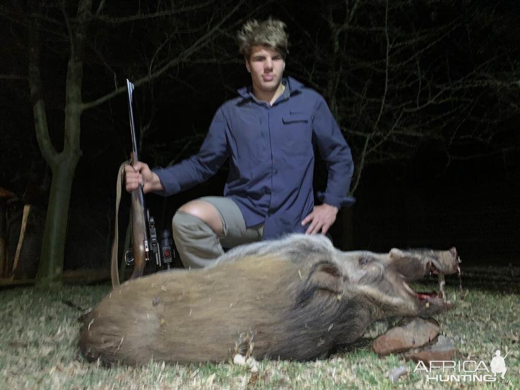 Hunting Bushpig in South Africa