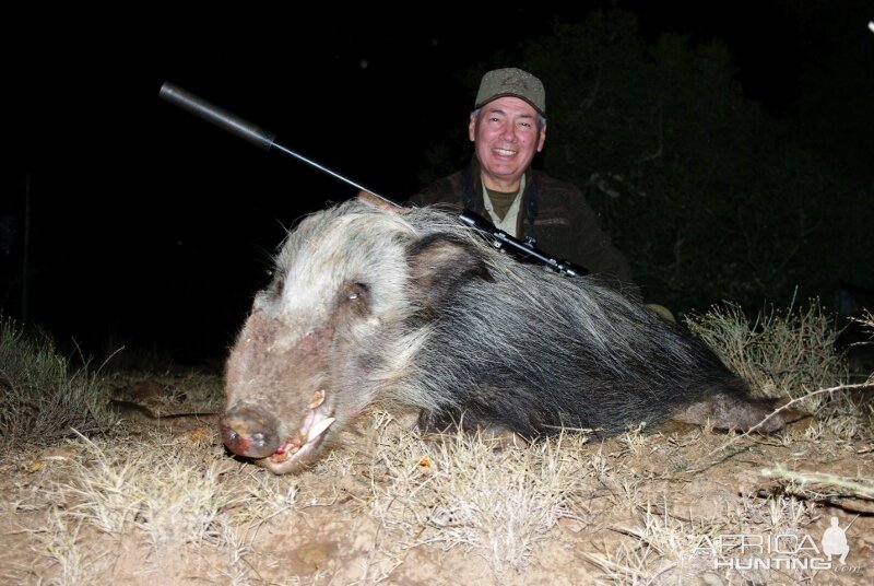 Hunting Bushpig South Africa