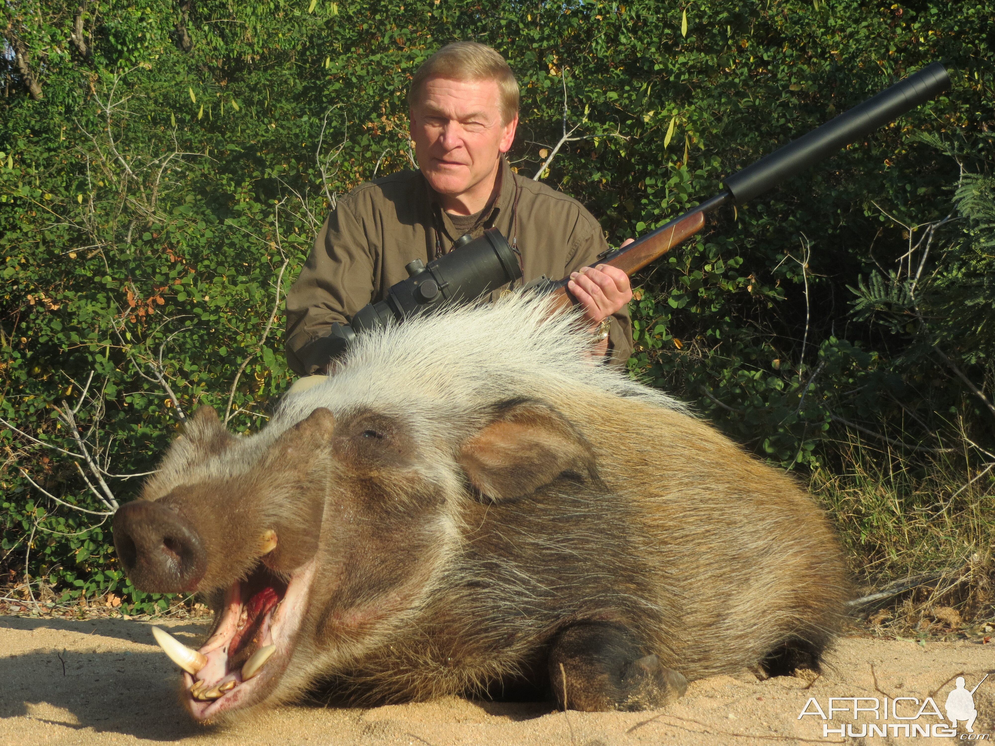 Hunting Bushpig South Africa