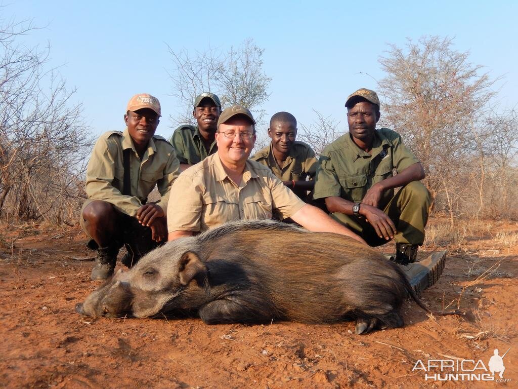 Hunting Bushpig Zimbabwe