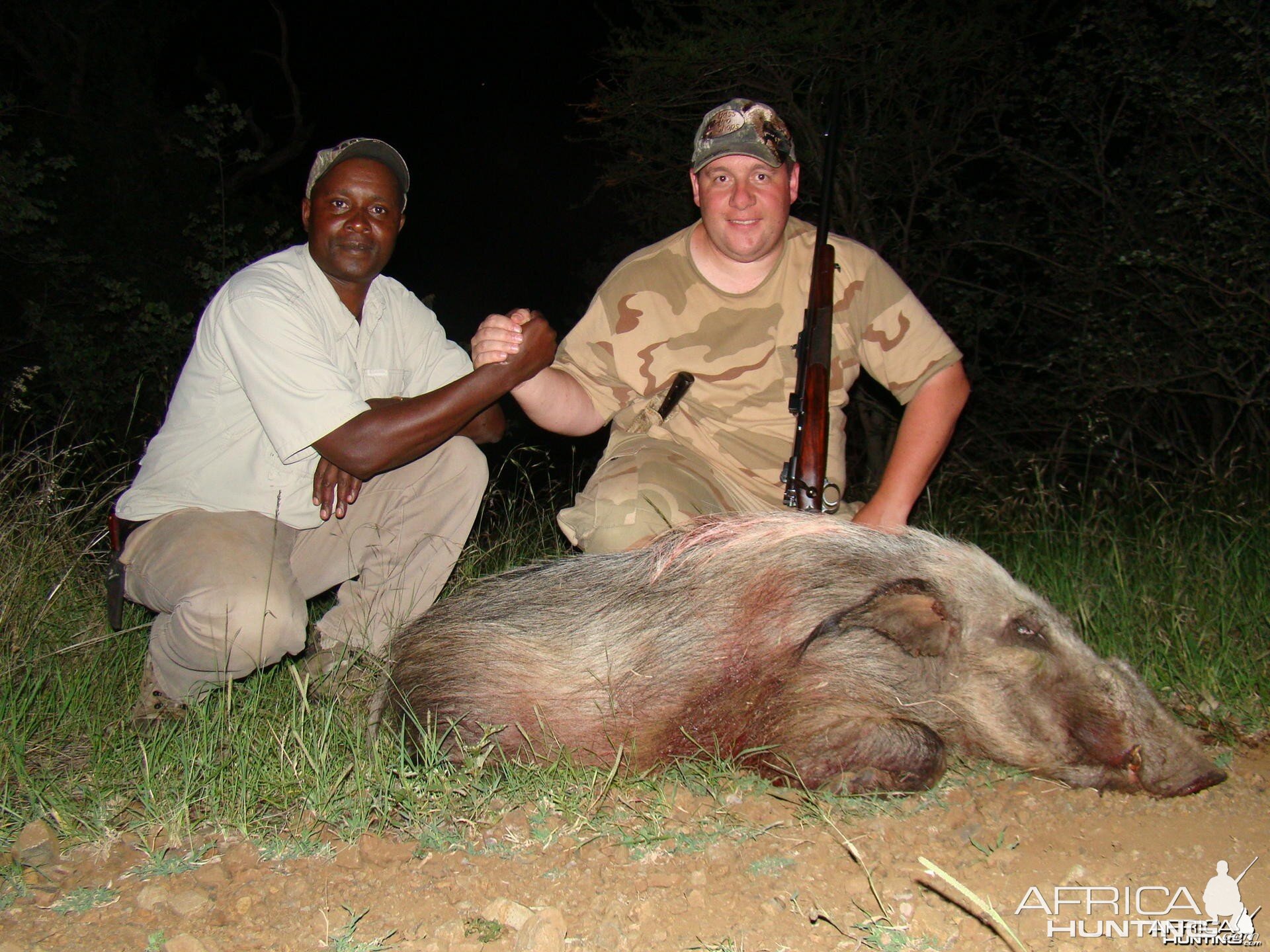 Hunting Bushpig