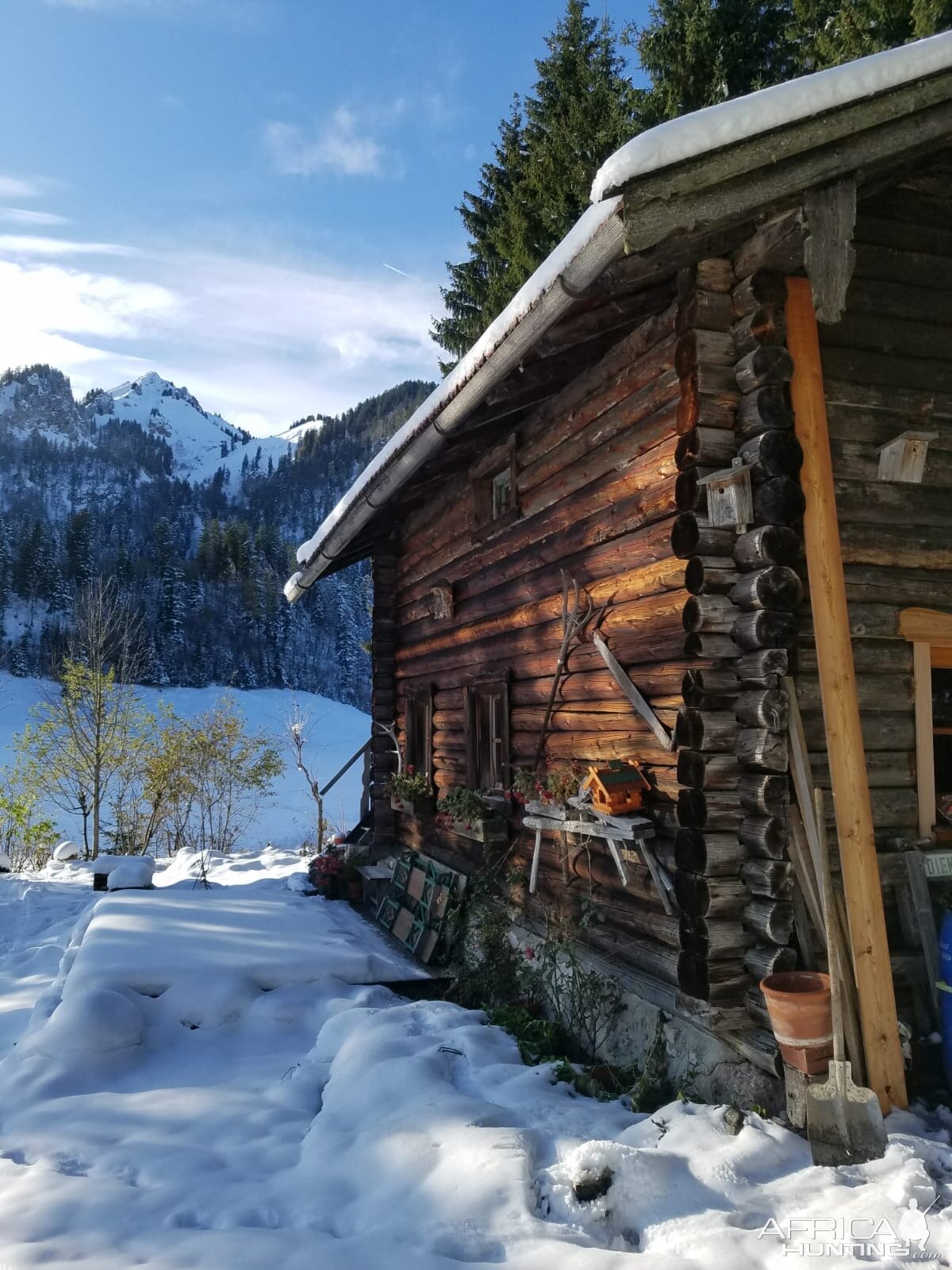 Hunting Cabin in Germany