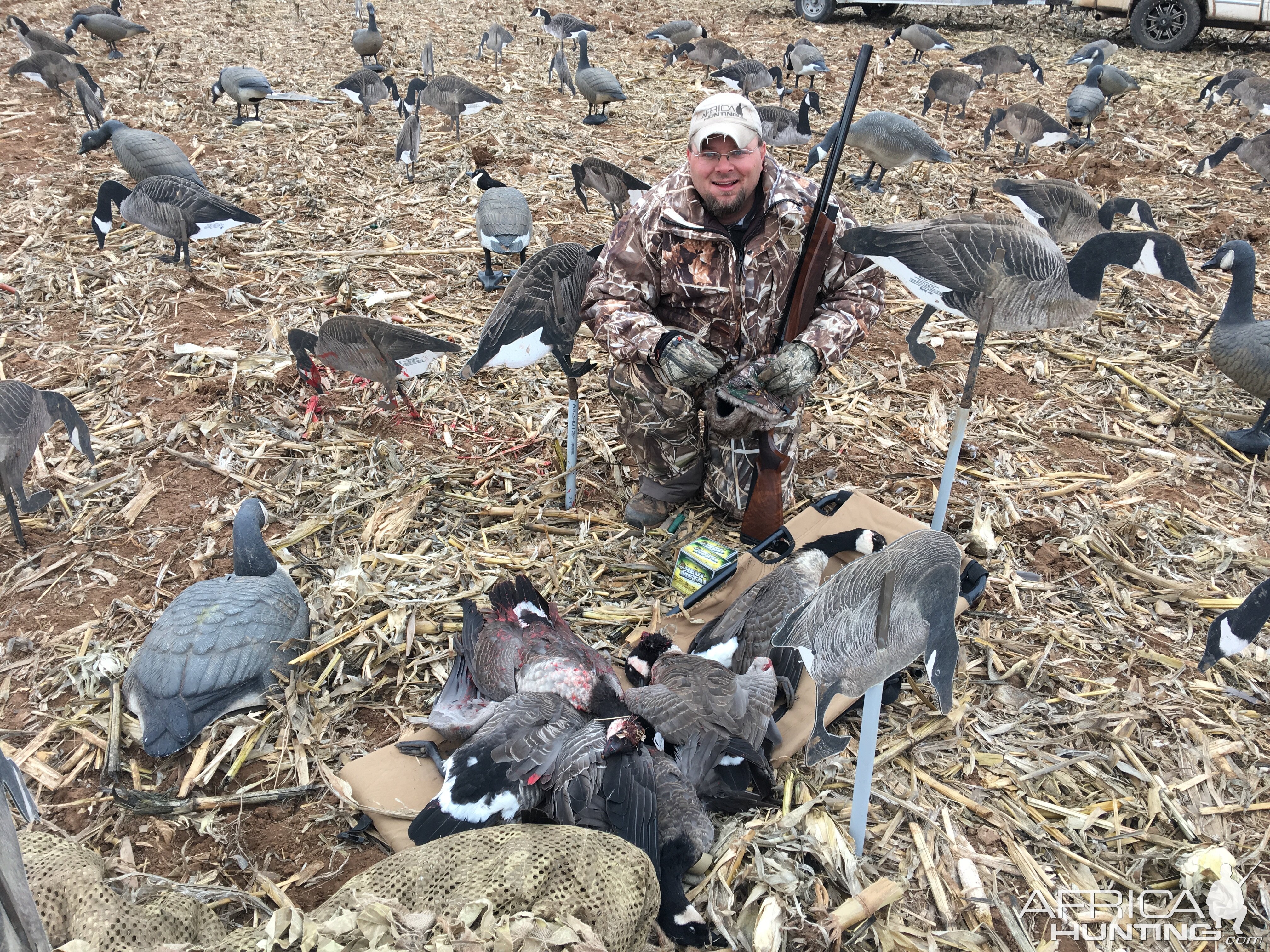 Hunting Cackling Goose