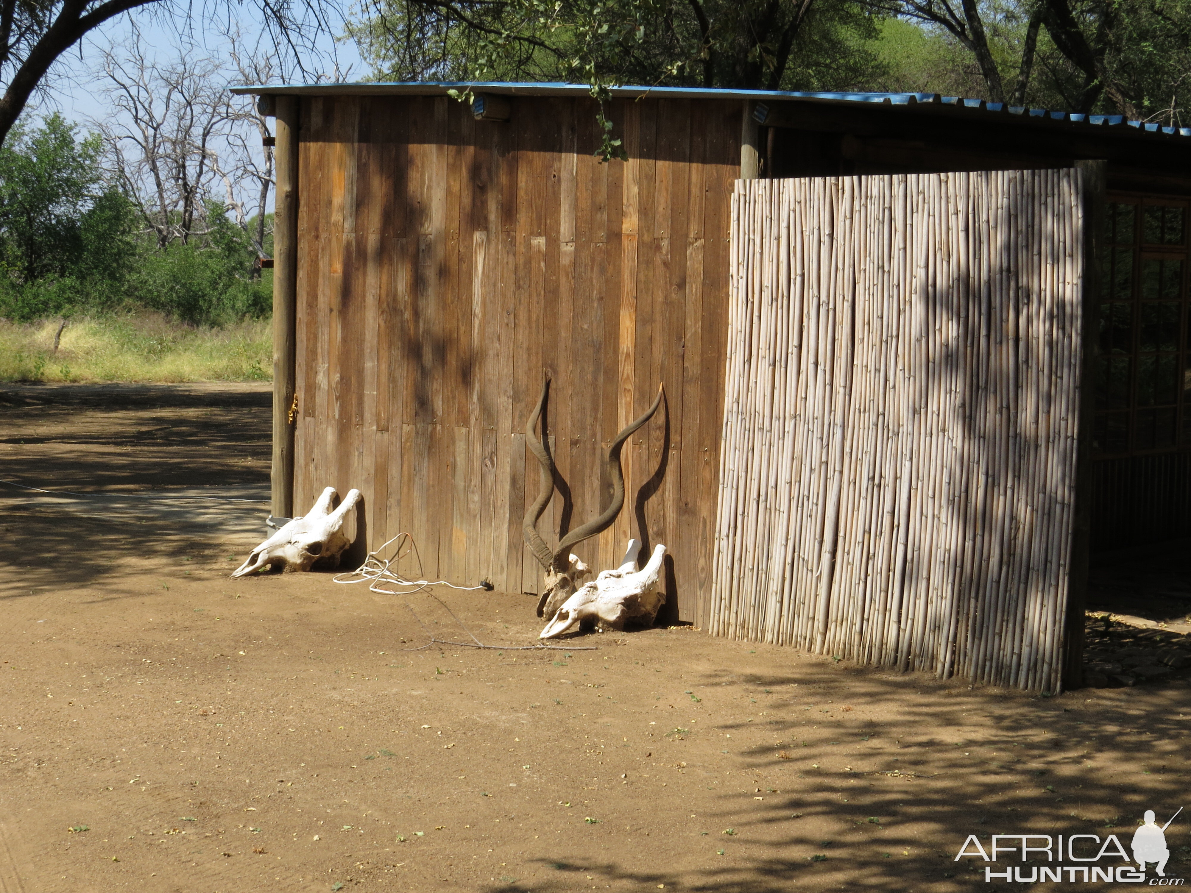 Hunting Camp South Africa