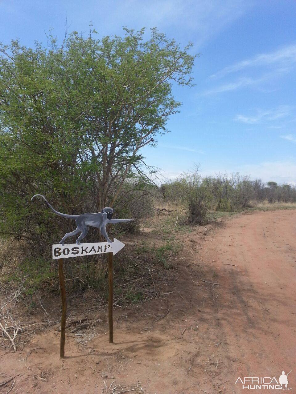 Hunting Camp South Africa