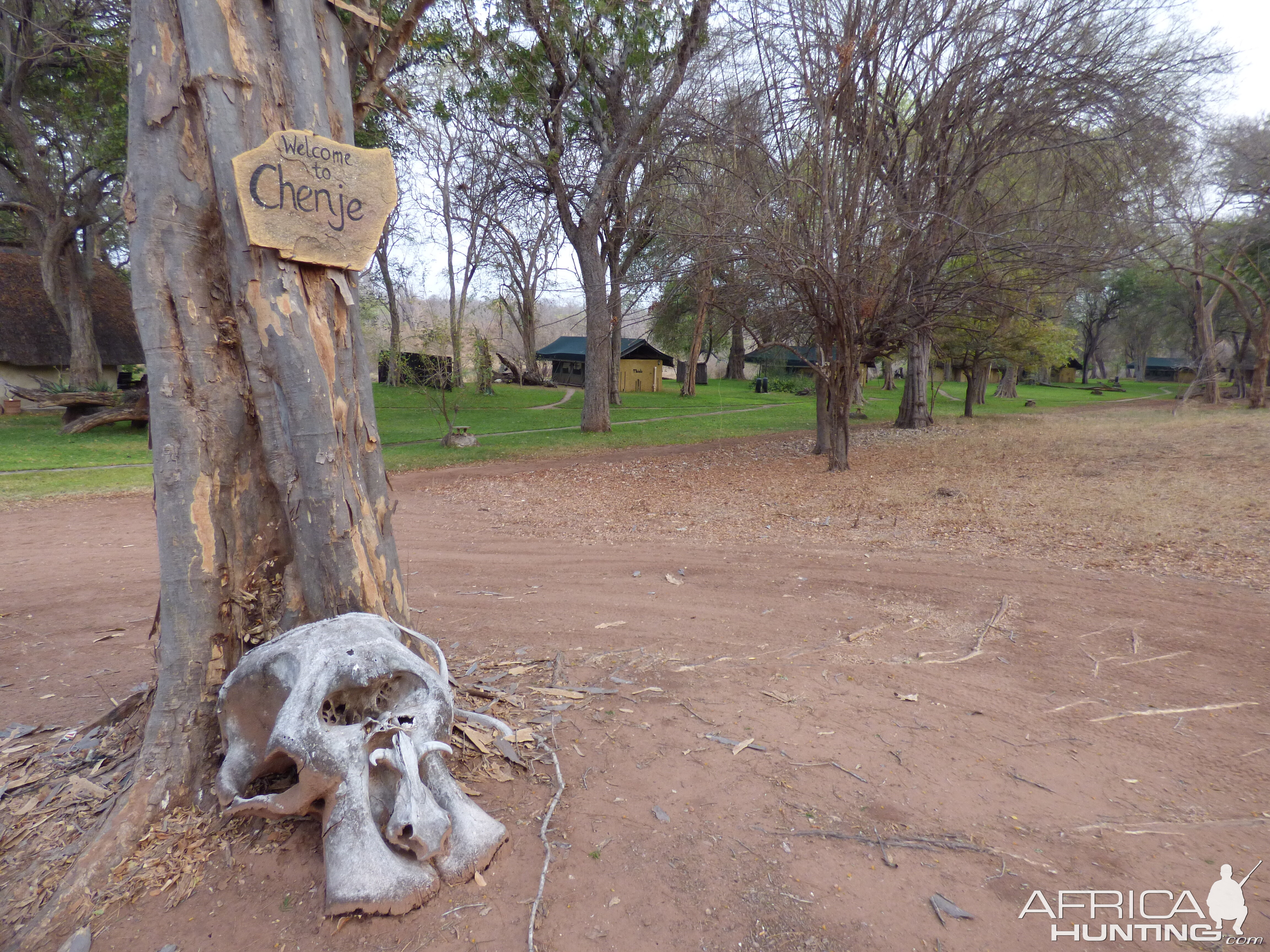 Hunting Camp Zimbabwe