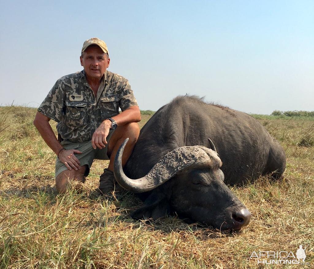 Hunting Cape Buffalo in Mozambique