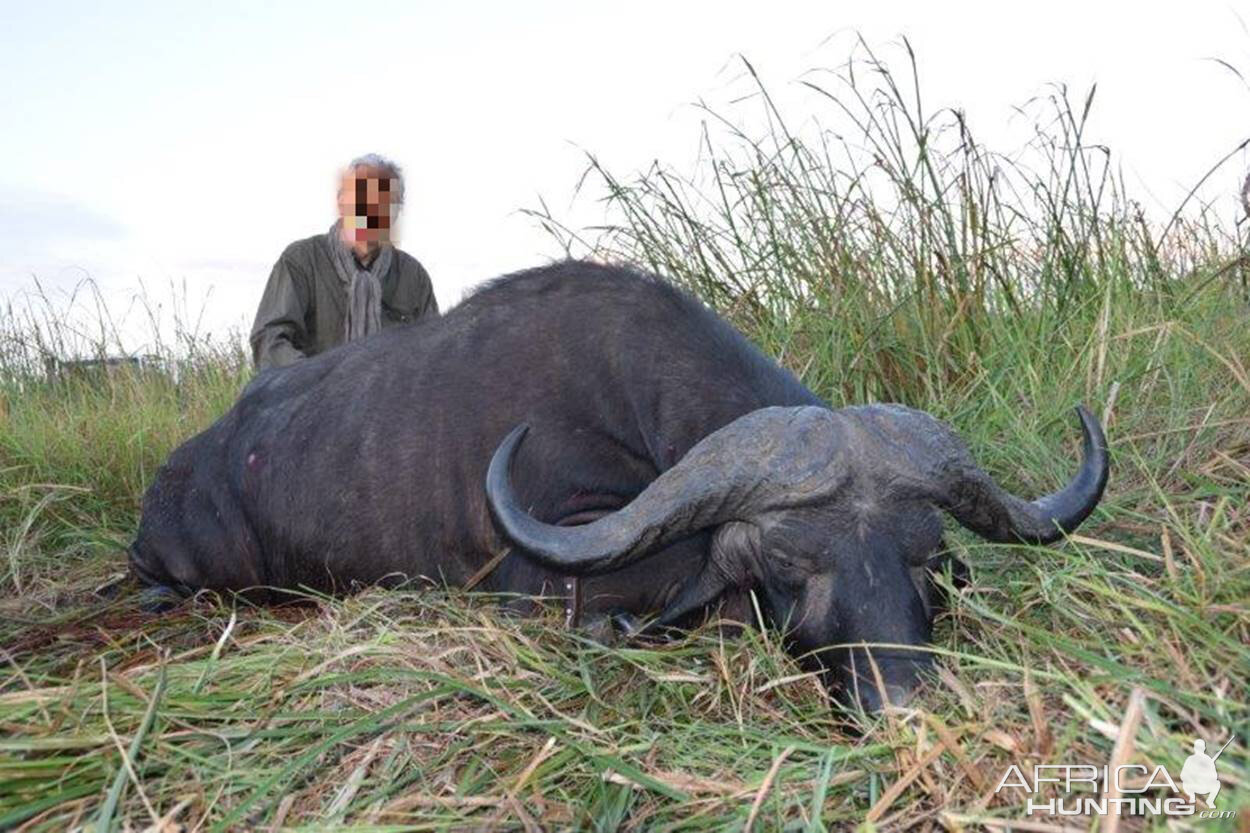 Hunting Cape Buffalo in Mozambique