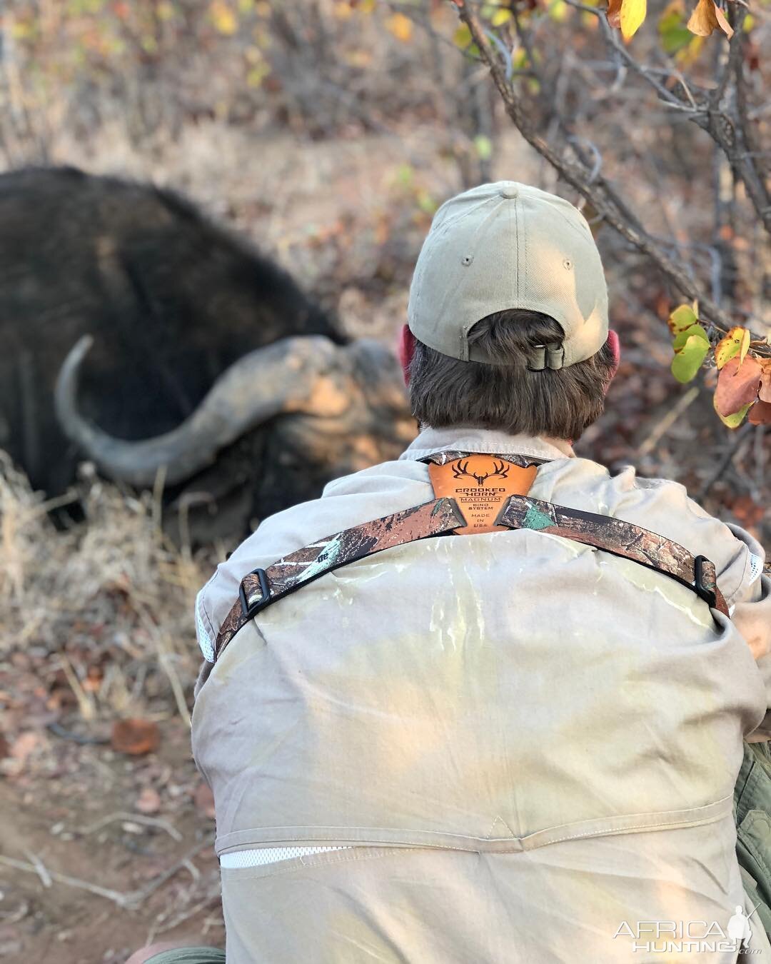 Hunting Cape Buffalo in Mozmbique