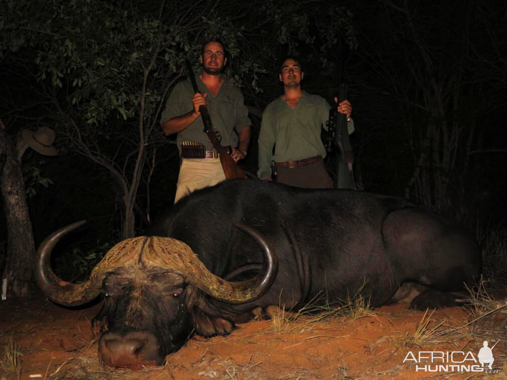 Hunting Cape Buffalo in Namibia