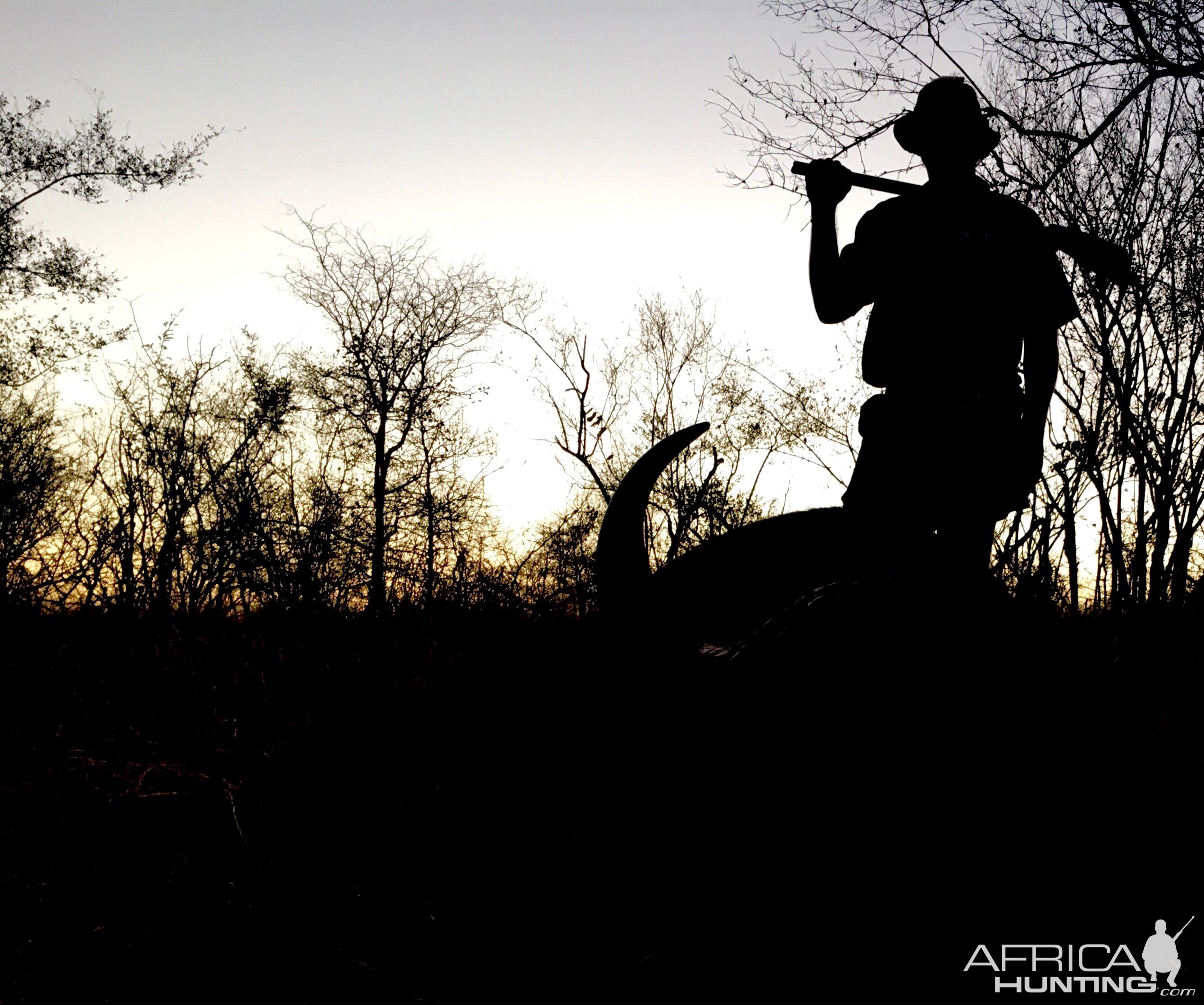 Hunting Cape Buffalo in South Africa