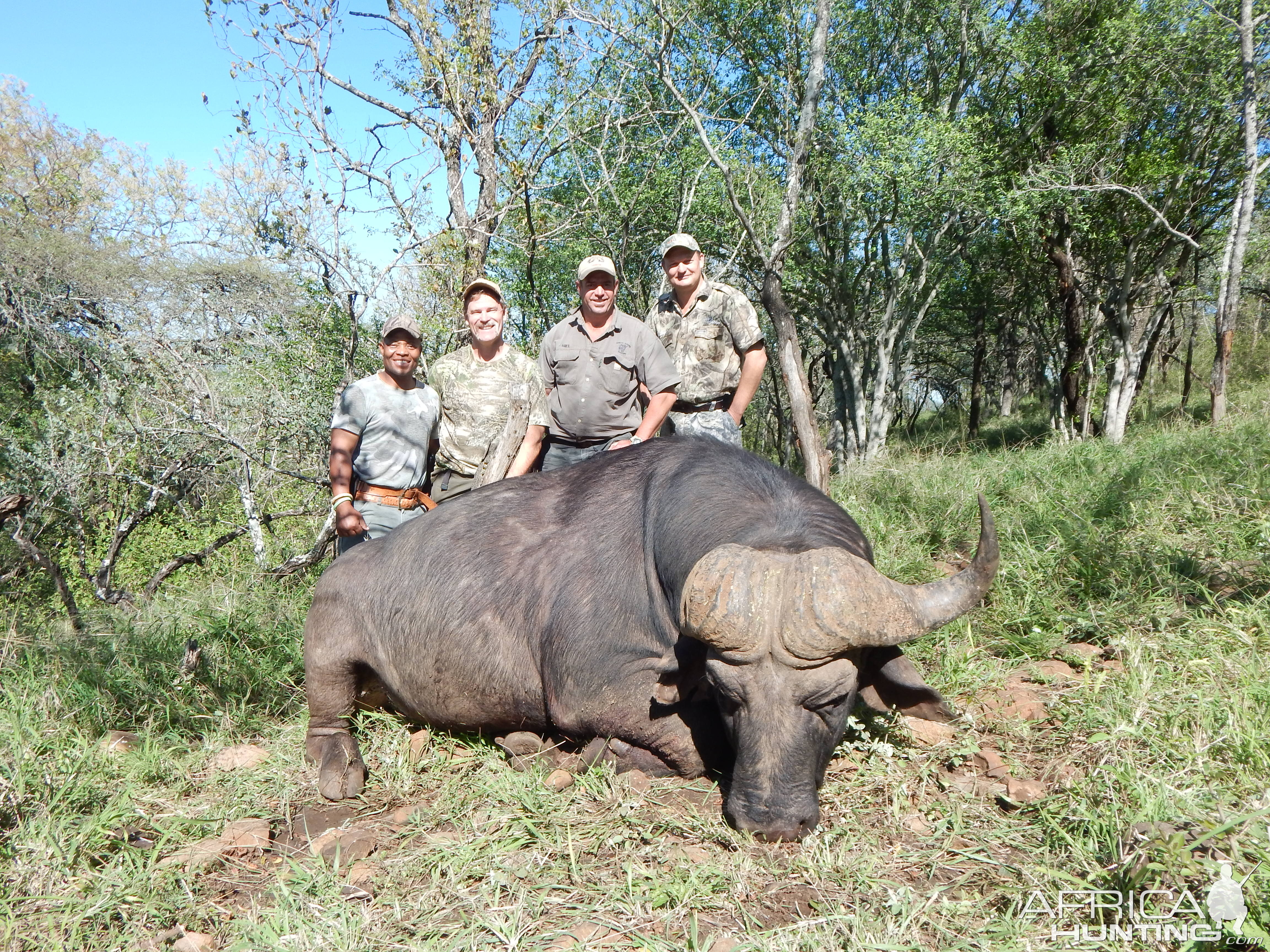 Hunting Cape Buffalo in South Africa