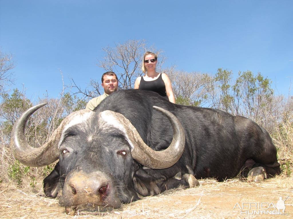 Hunting Cape Buffalo in South Africa