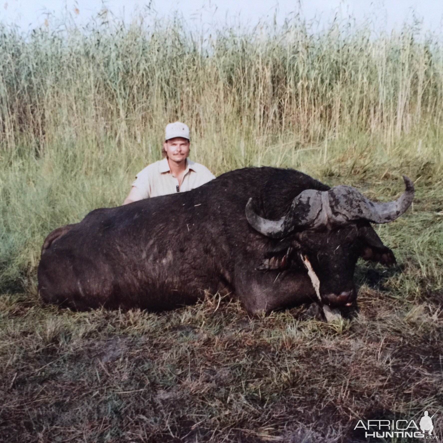 Hunting Cape Buffalo in South Africa