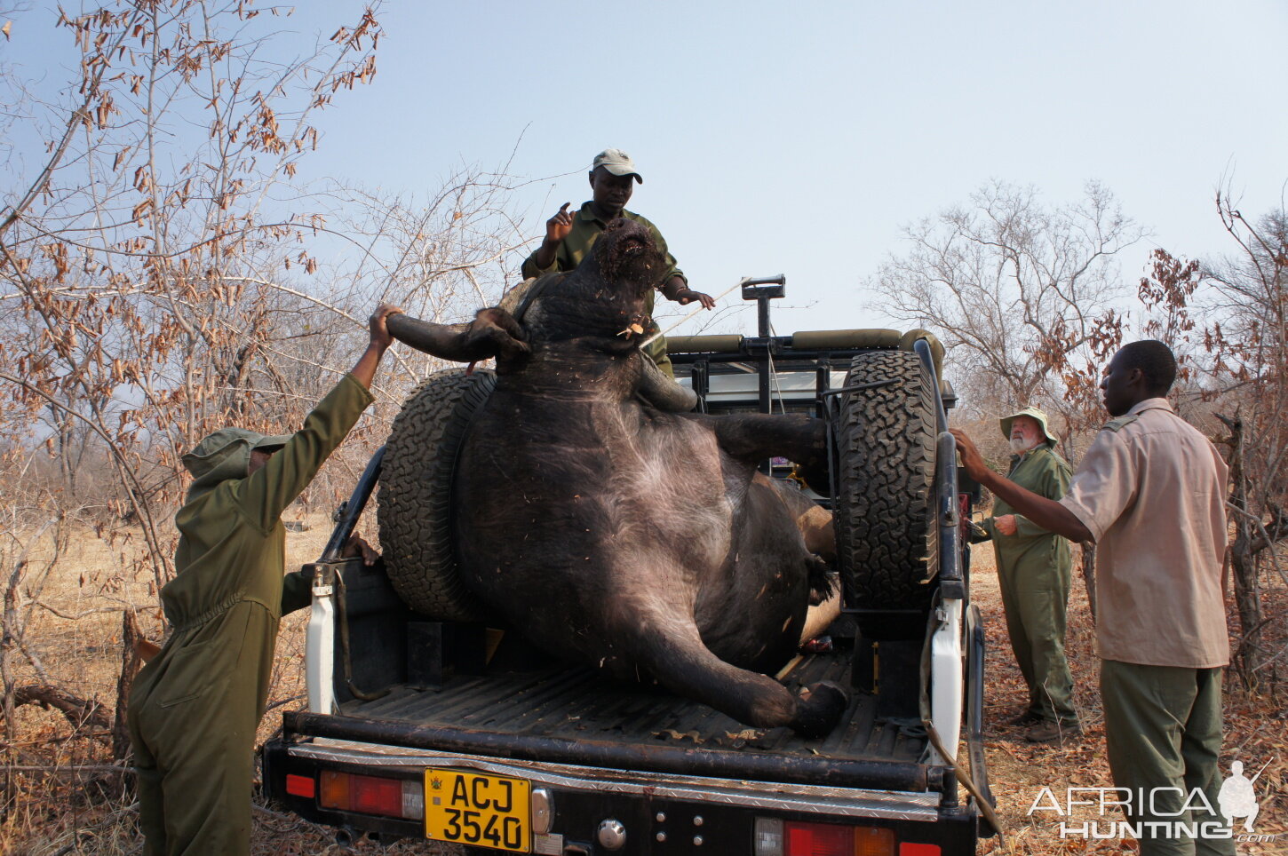 Hunting Cape Buffalo in Zimbabwe