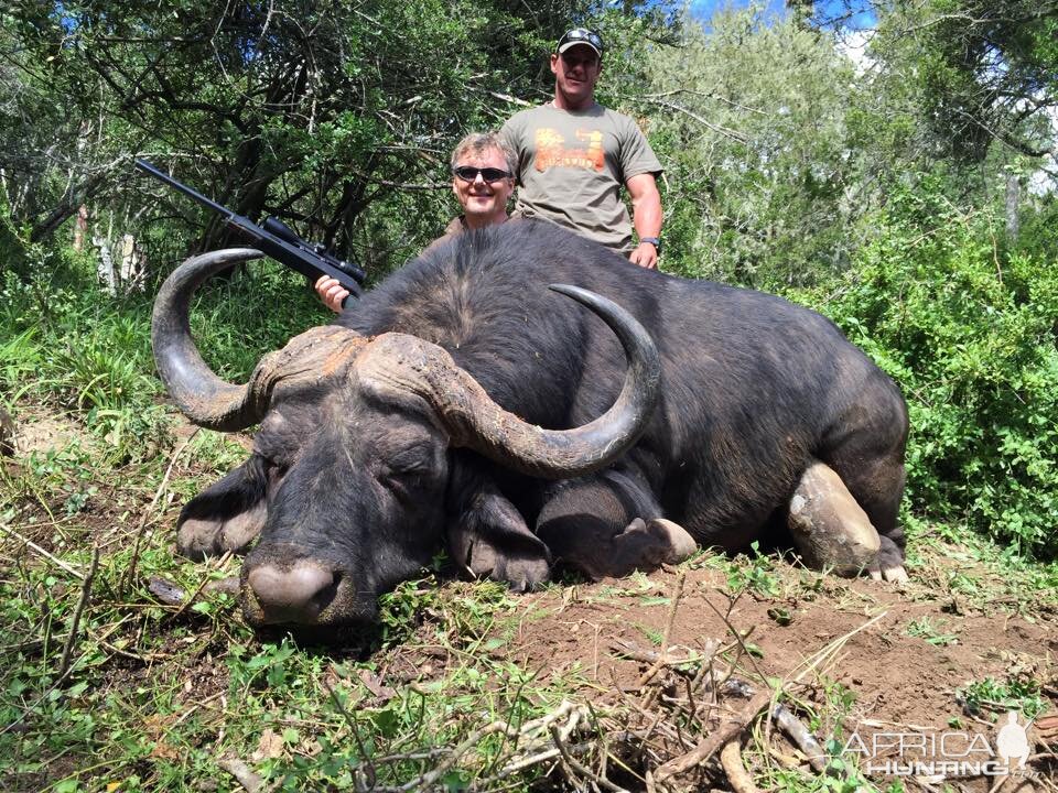 Hunting Cape Buffalo South Africa