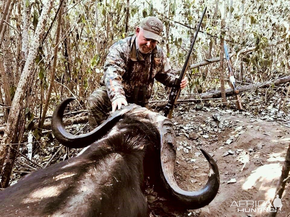 Hunting Cape Buffalo South Africa