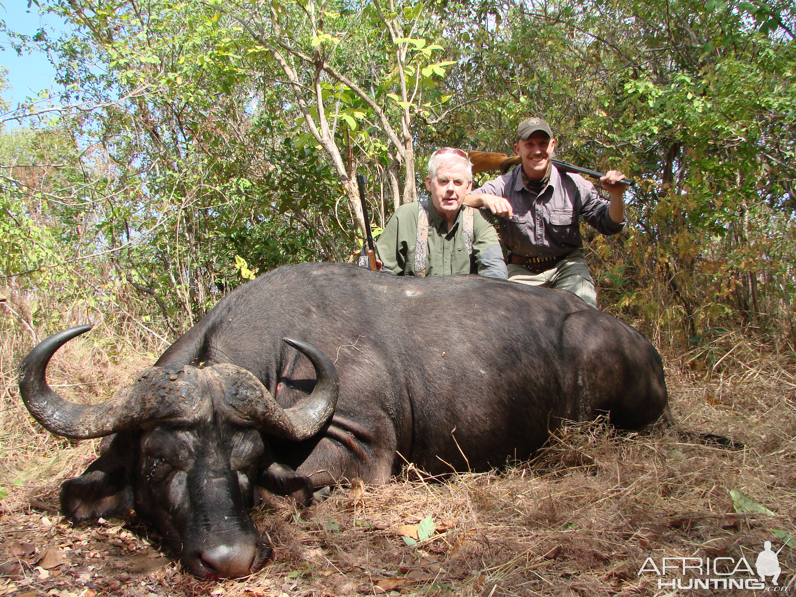 Hunting Cape Buffalo Tanzania