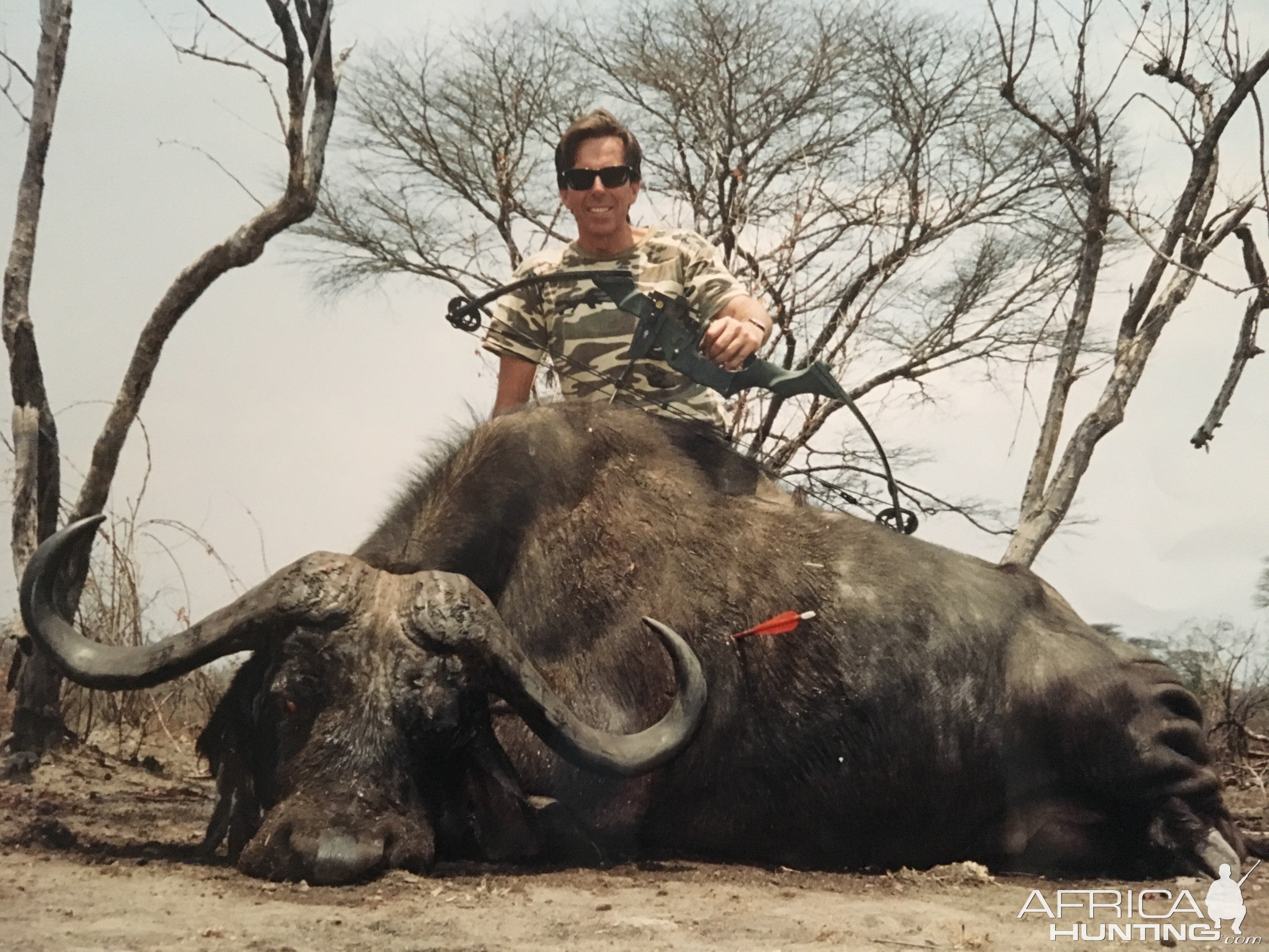 Hunting Cape Buffalo With Bow