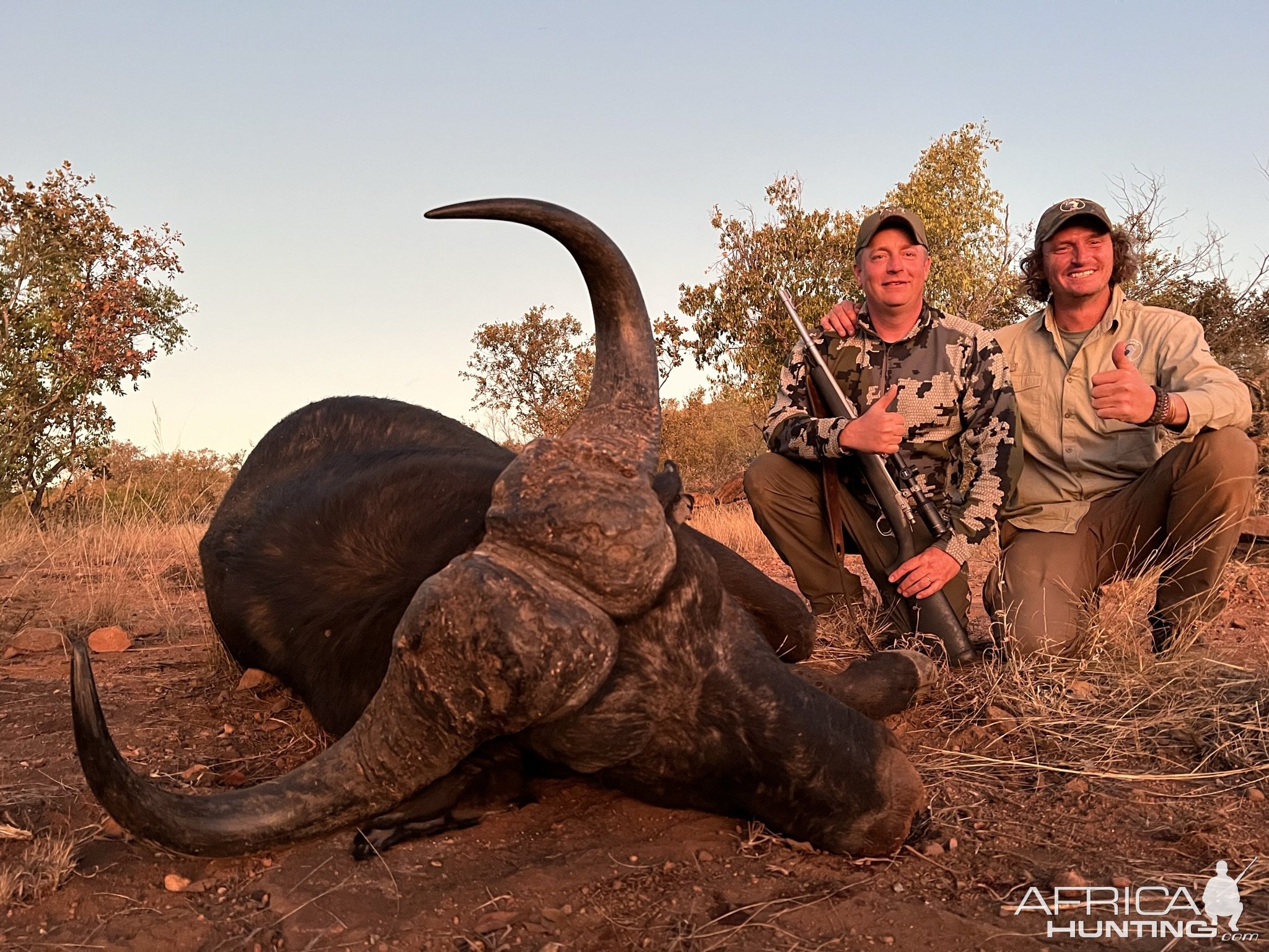 Hunting Cape Buffalo