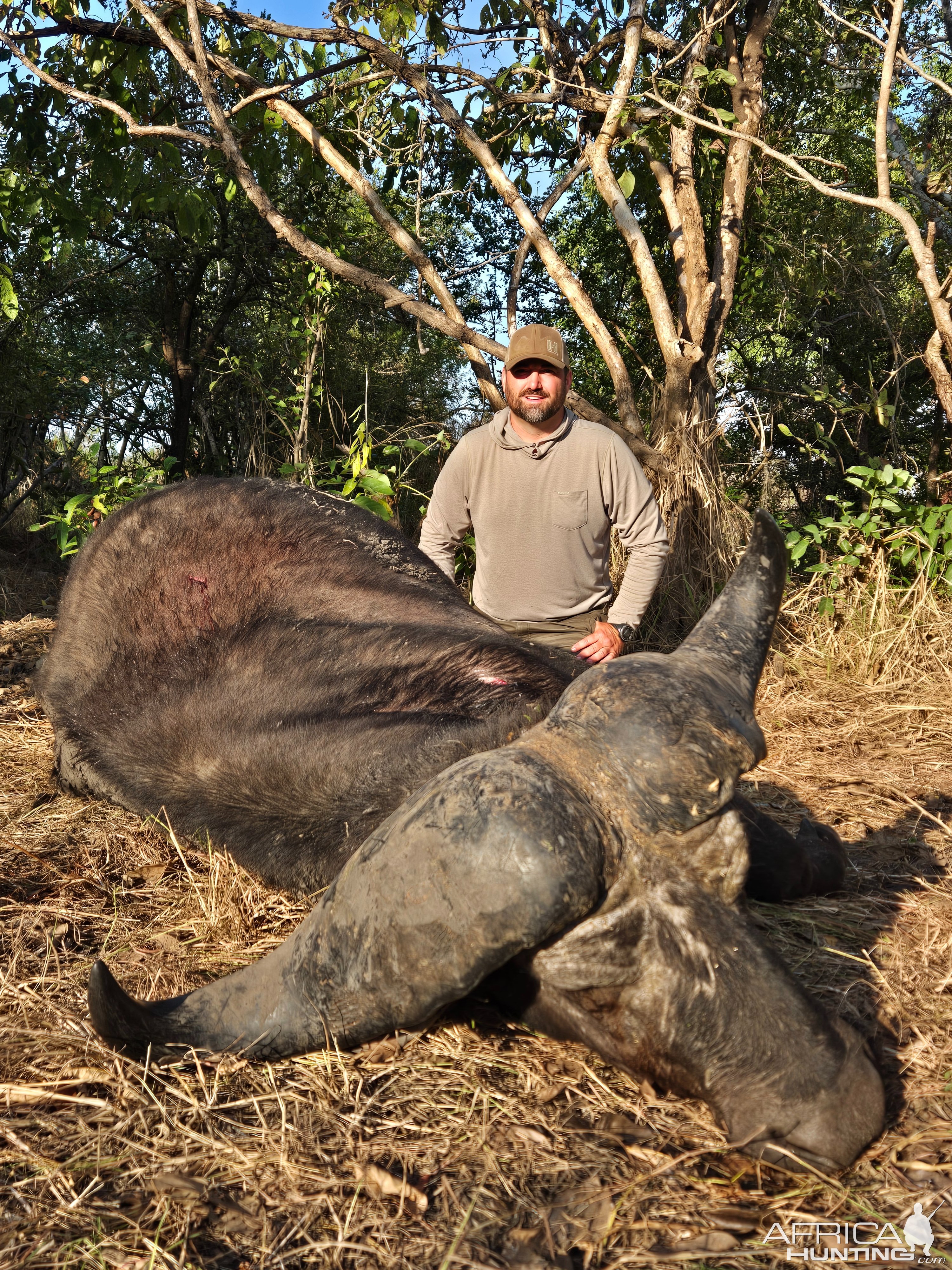 Hunting Cape Buffalo