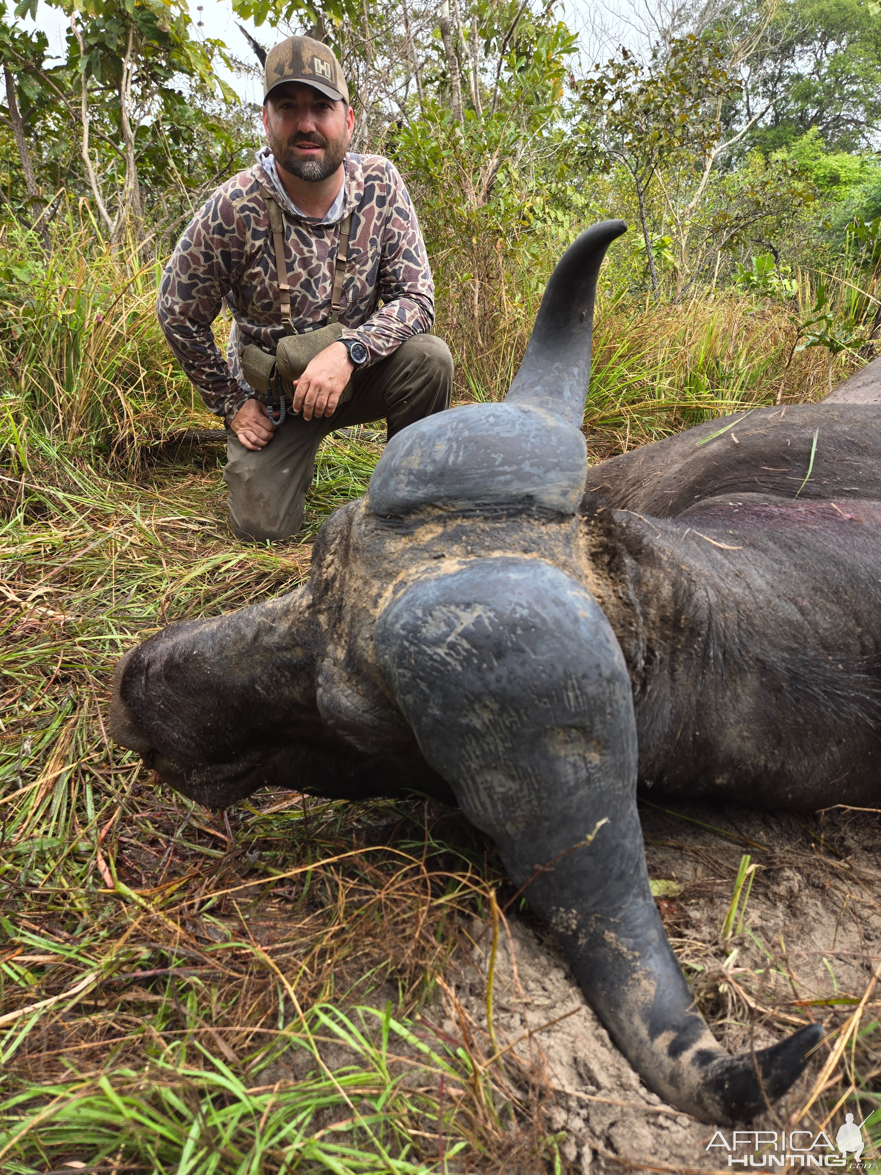 Hunting Cape Buffalo