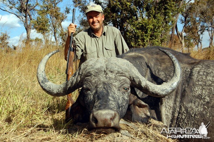 Hunting Cape Buffalo