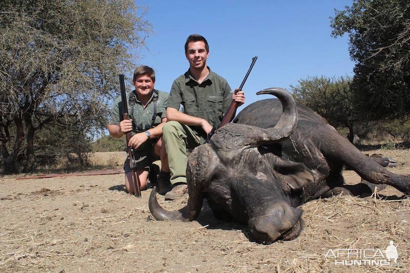 Hunting Cape Buffalo