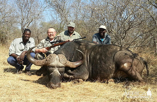 Hunting Cape Buffalo