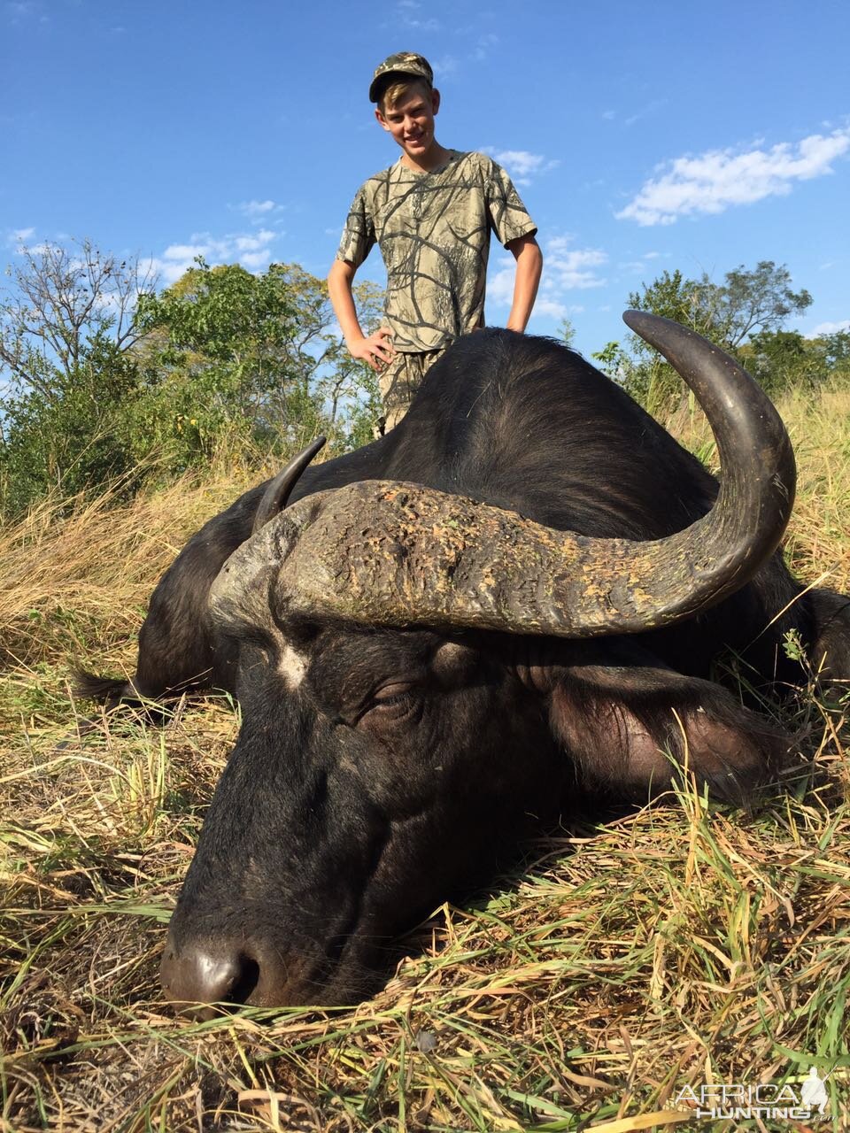 Hunting Cape Buffalo