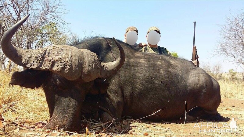 Hunting Cape Buffalo