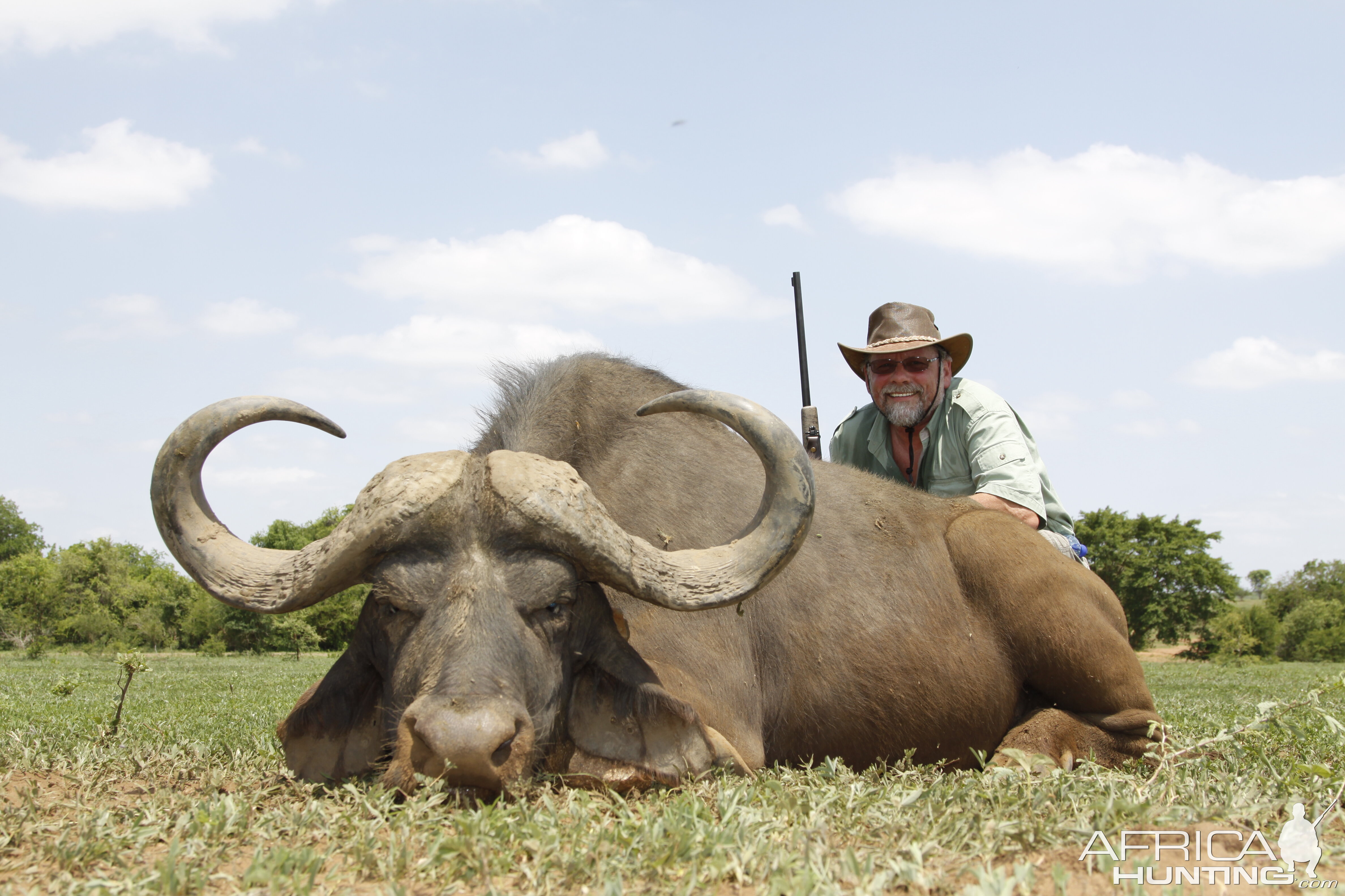 Hunting Cape Buffalo