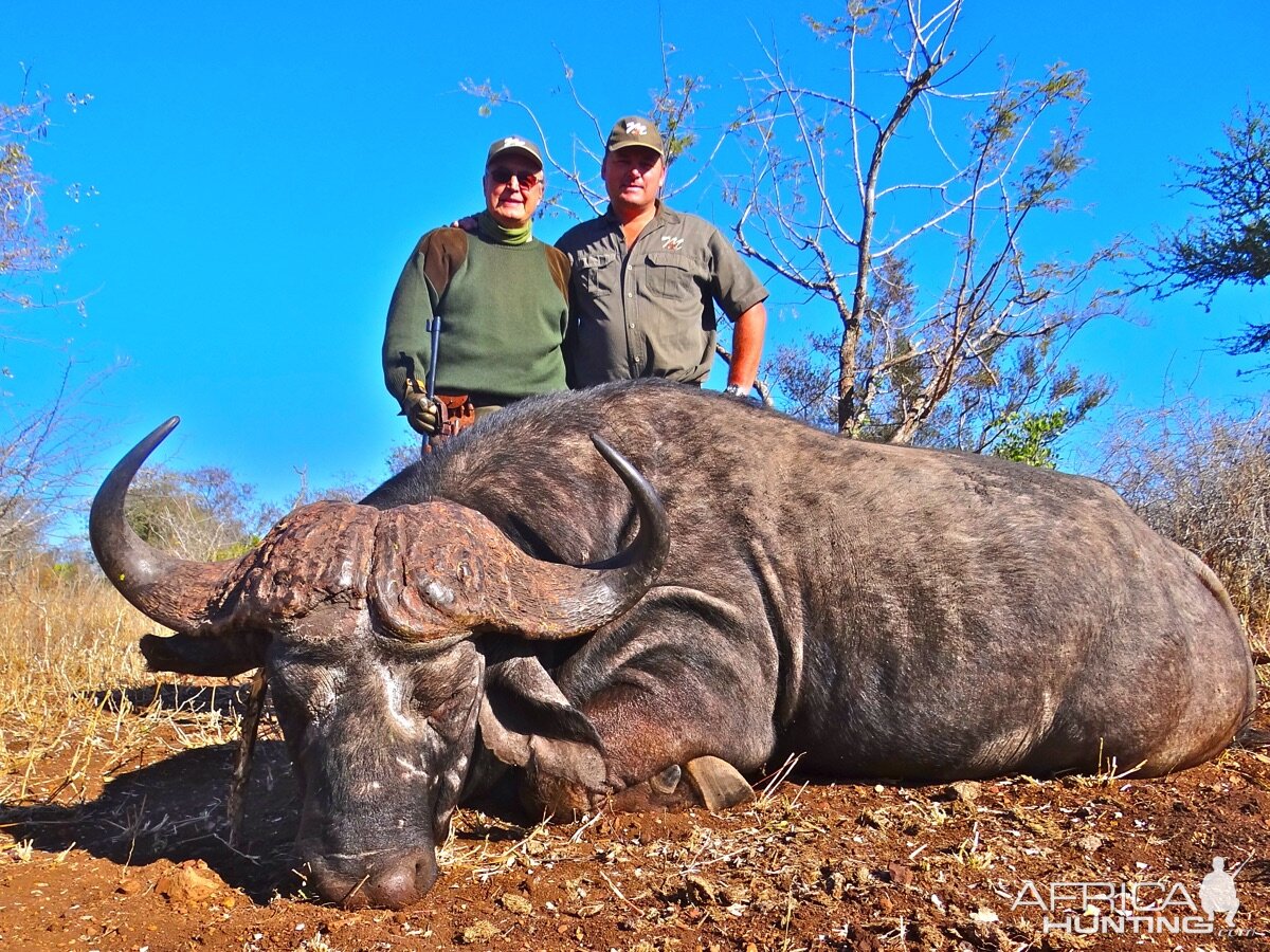 Hunting Cape Buffalo