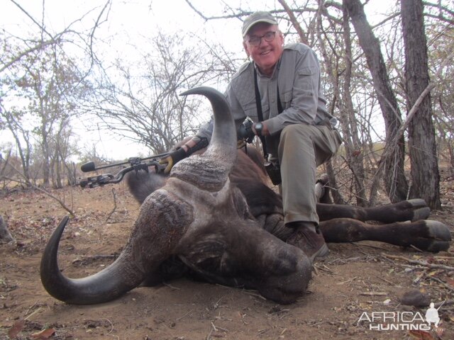 Hunting Cape Buffalo