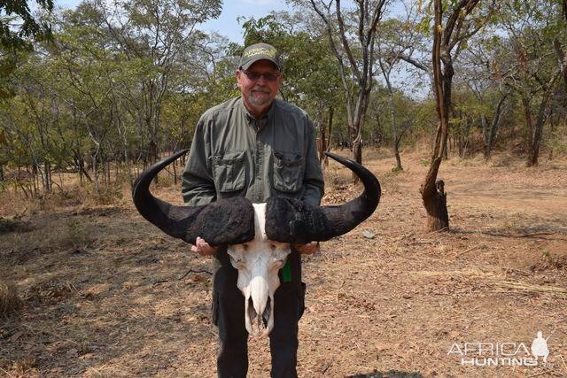 Hunting Cape Buffalo