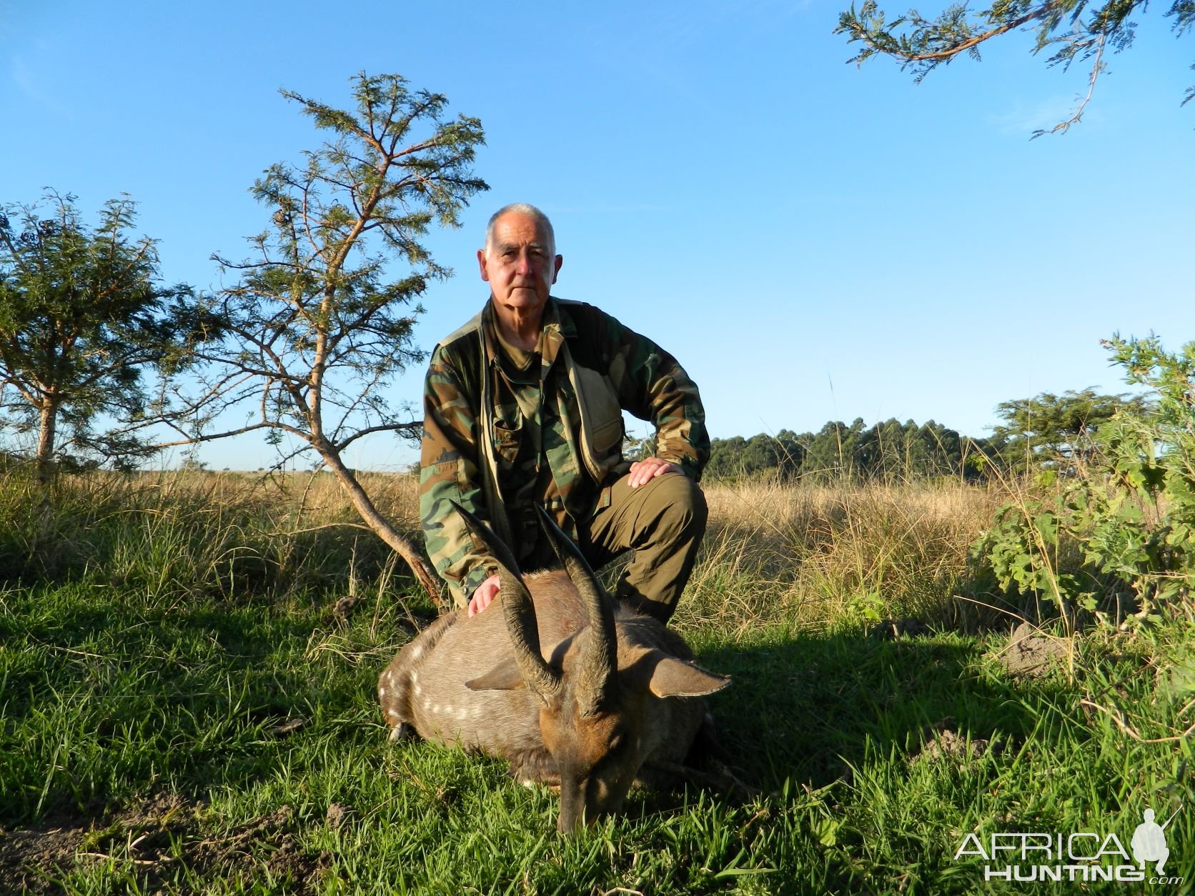 Hunting Cape Bushbuck