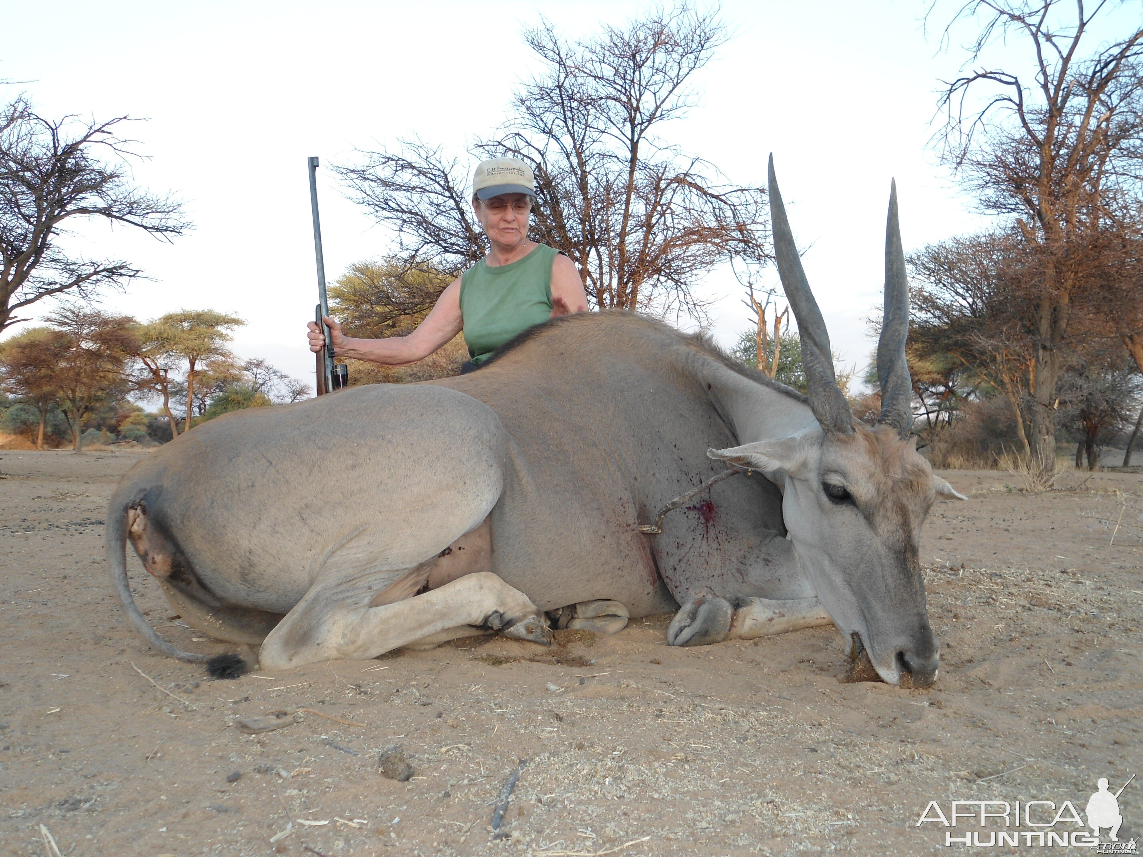 Hunting Cape Eland Female in Namibia