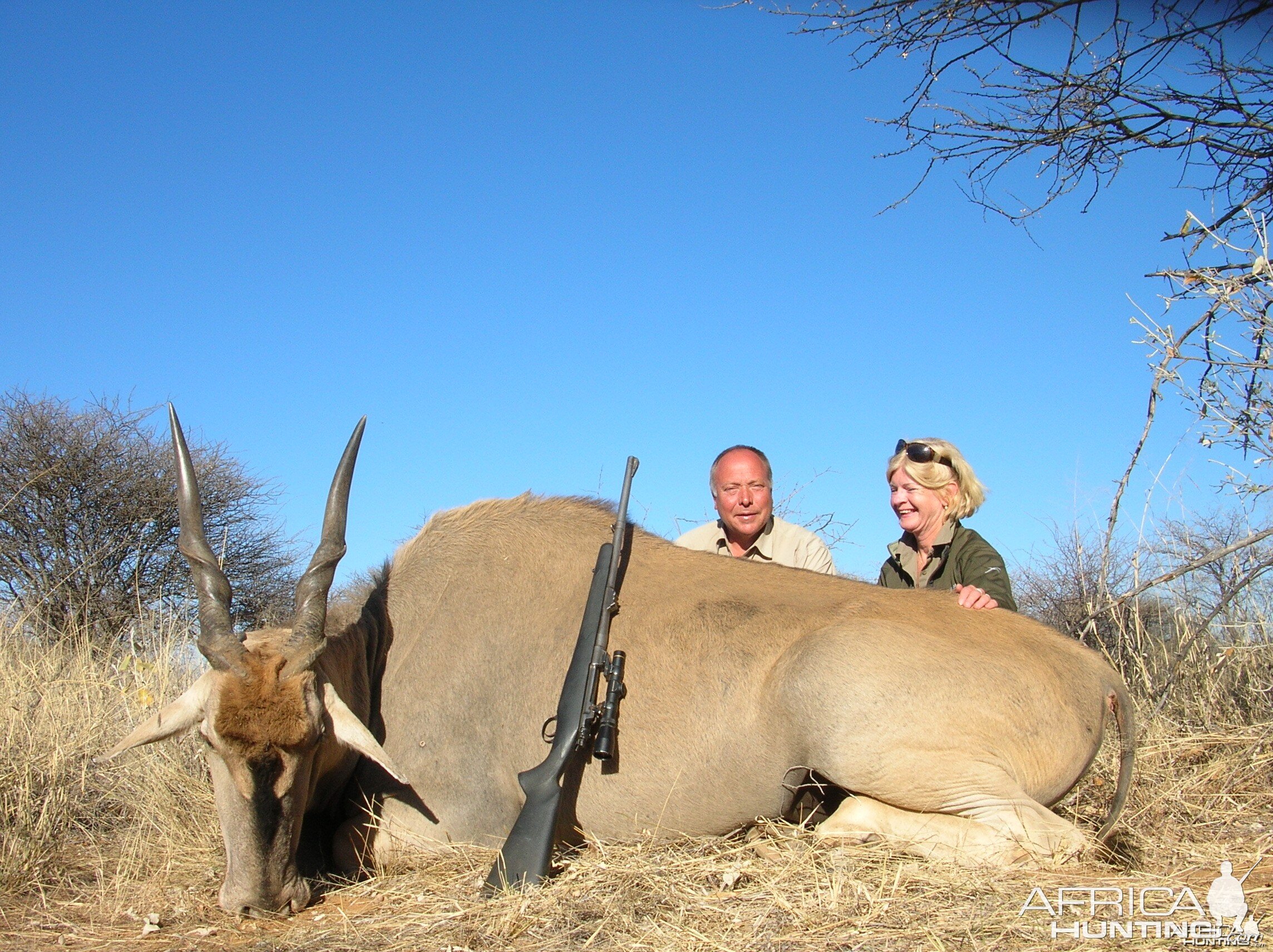 Hunting Cape Eland in Namibia