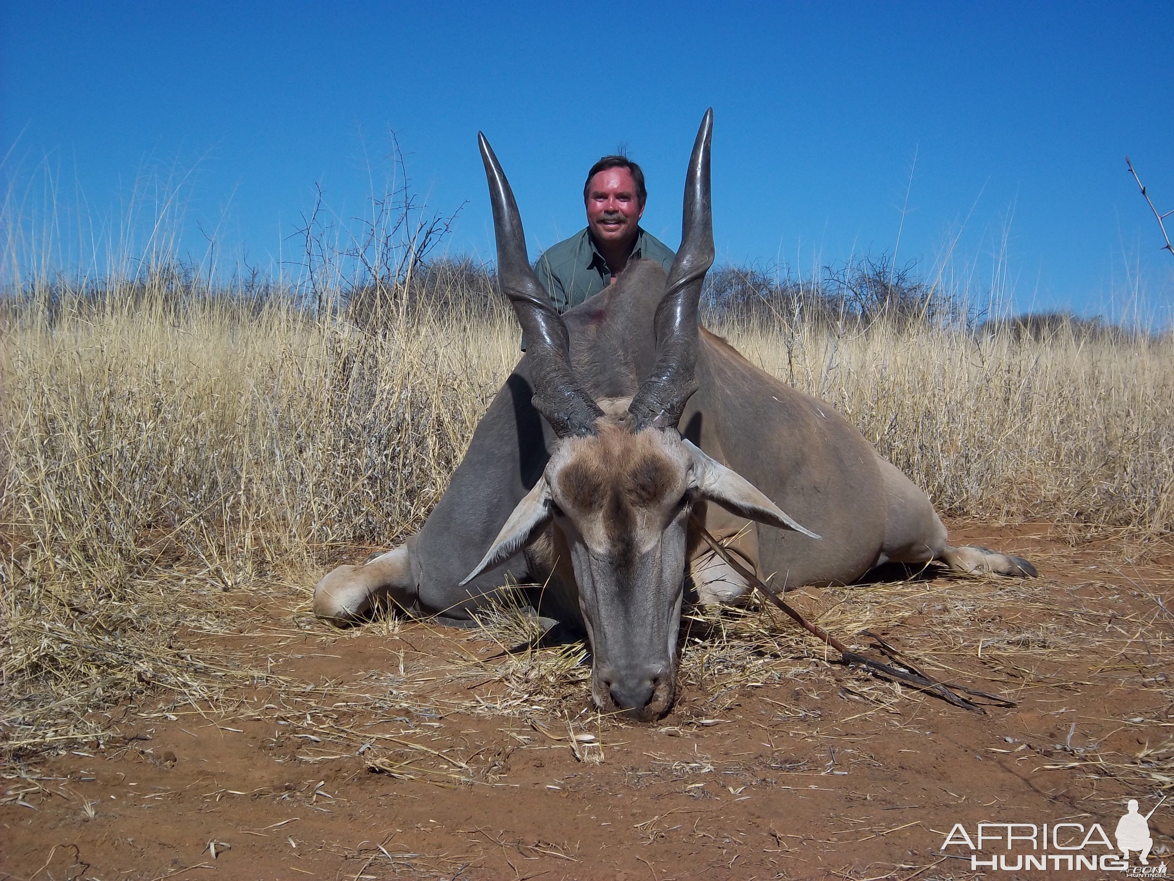 Hunting Cape Eland in Namibia